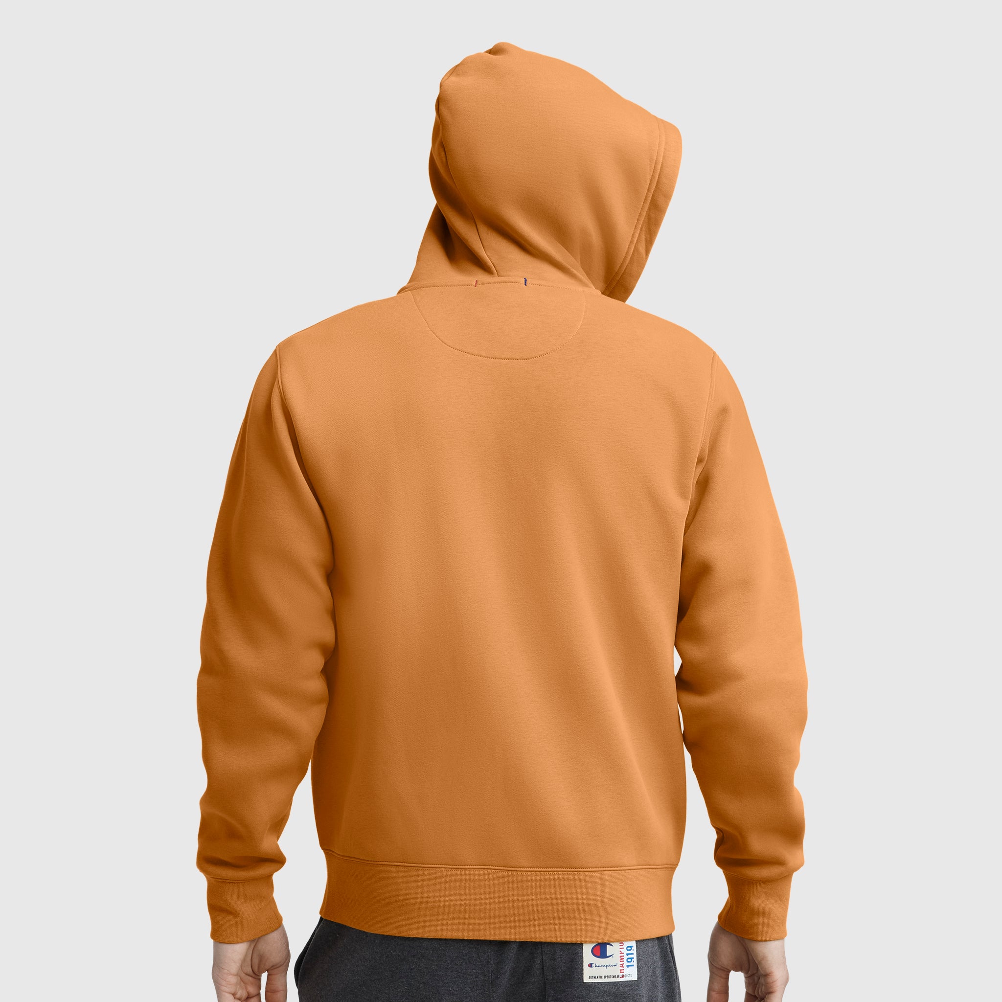 Champion Powerblend Full-Zip Hoodie sweat Ginger gratté