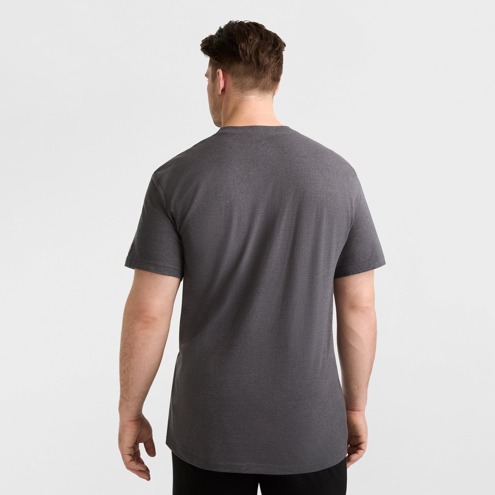 Champion Classic Graphic Script Logo tee-shirt coton gris grande taille