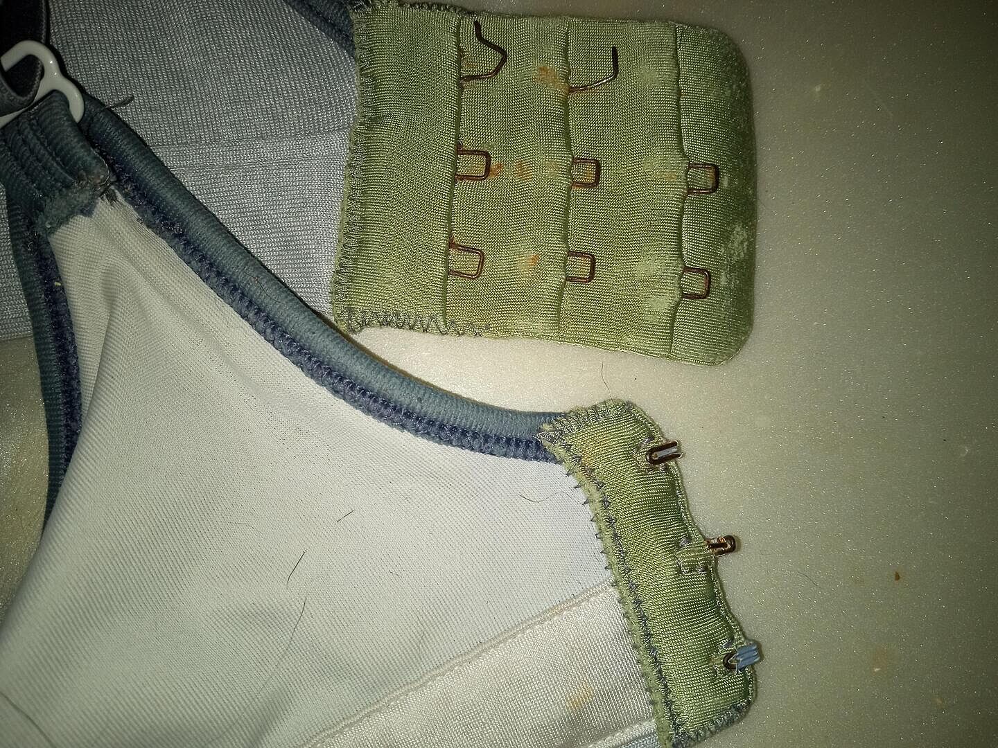 Champion Spot Comfort brassière sport Coastal Fjord fort
