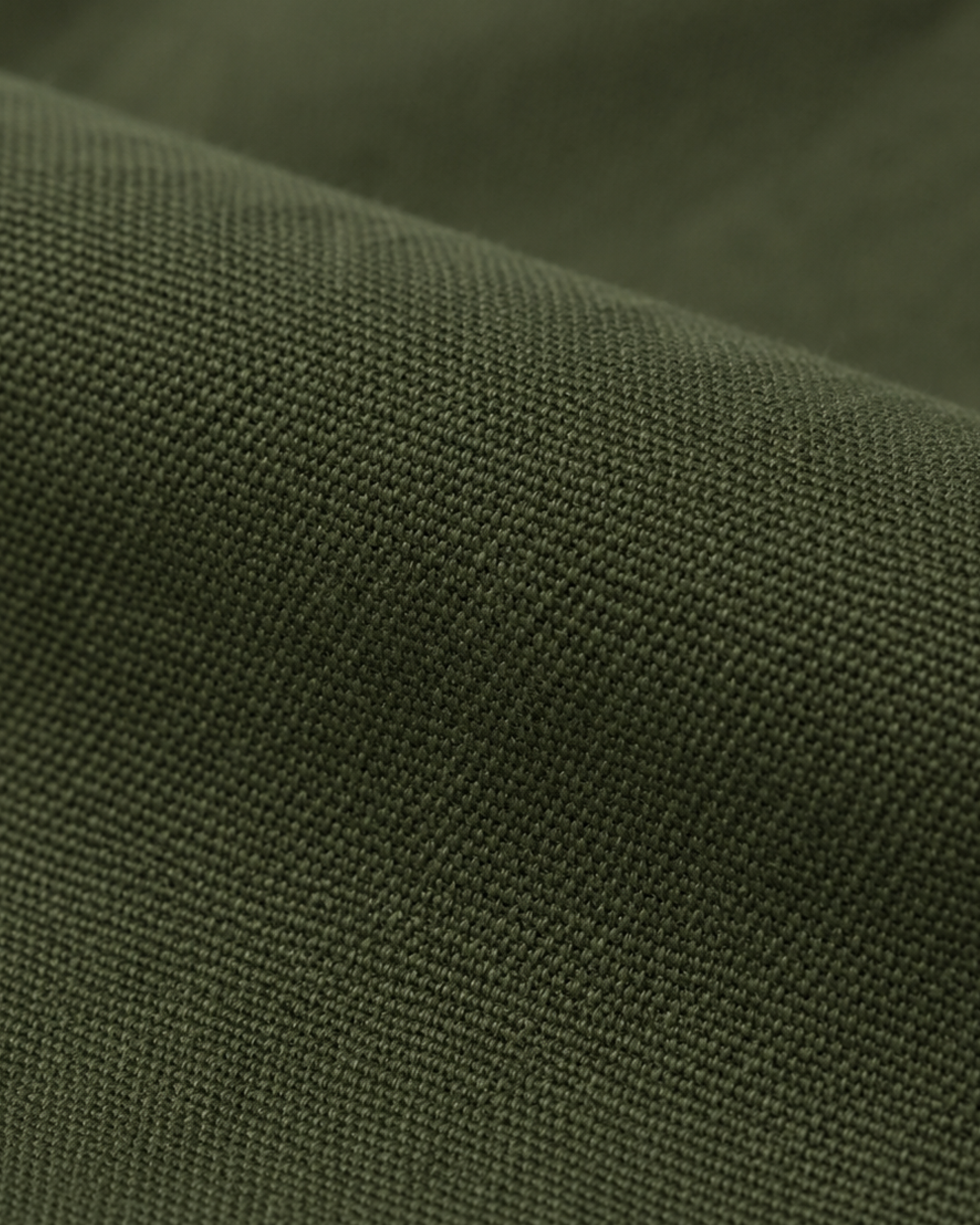 LAFAURIE GABIN Canevas Vert Sapin pantalon coton