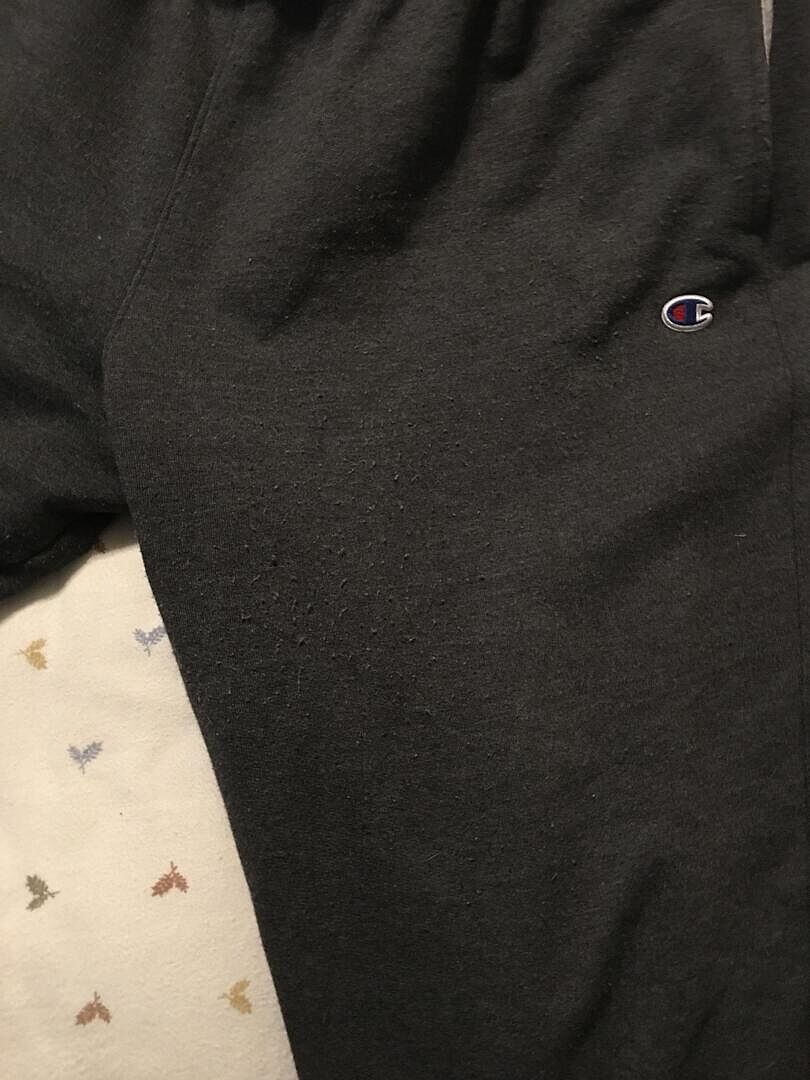 Champion Powerblend Joggers C Logo jogging Cabernet